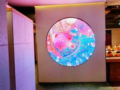 -星·South Beauty·俏江南(国贸店)