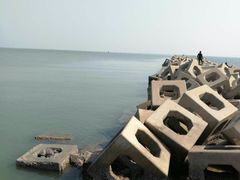 -东疆建设开发纪念公园