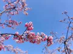 -静安雕塑公园