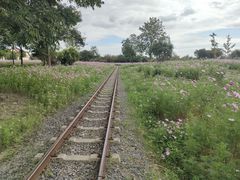 -歌斐颂巧克力小镇