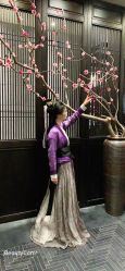 点击看大图 -盘子女人坊古装写真摄影(深圳店)