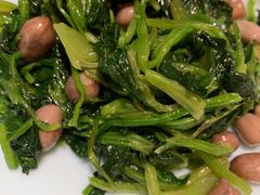 花生米拌菠菜-大铁勺新津菜(东丽阳光新业广场店)
