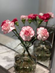 -汤尼英盖TONI&GUY-essensuals