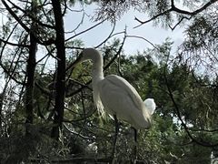 -昆明动物园