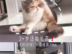 -海幢瑞芳饮食店