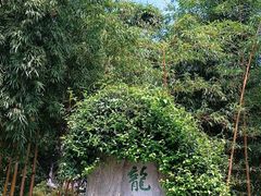 -十八棵（老龙井）御茶园(老龙井店)