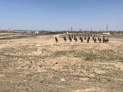 -水洞沟旅游区