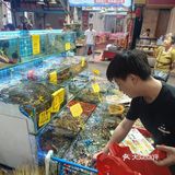家人的快乐日常