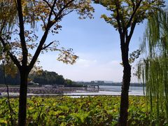 -金鸡湖桃花岛