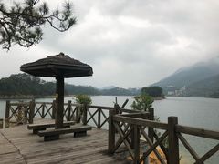 -广州市流溪河国家森林公园