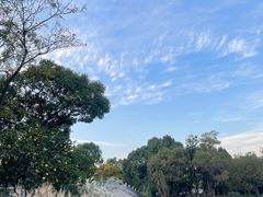 -杭州西溪宾馆-松露西餐厅