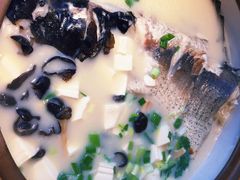 姜君千岛湖鱼头-姜君·千岛湖鱼头馆(浦东大道店)