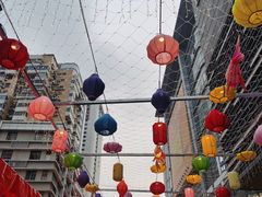 -越秀西湖花市(广州城市广场花卉店)