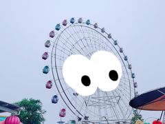 -洋湖国家湿地公园