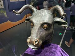 -广西壮族自治区博物馆