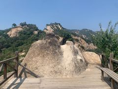 -大岭沟猕猴桃谷风景区
