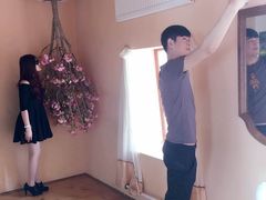 -金山农民画村-枫泾波兰倒置屋