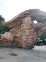 -翱翔飞越地平线