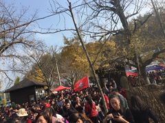 -千年银杏谷文化旅游区
