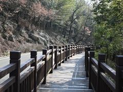 -游子山休闲旅游区