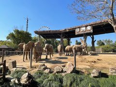 -上海野生动物园