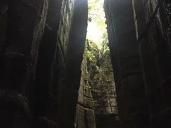 -梦幻奥陶纪景区