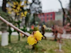-莲湖公园