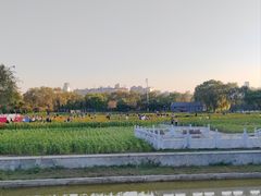 -北陵公园
