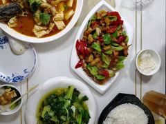 -煲来饱去冷水鱼