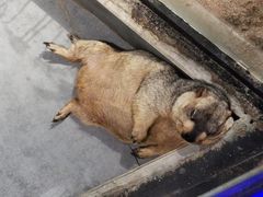 -荆州中山公园动物园