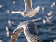 -太湖面馆十八浇(渔港路店)