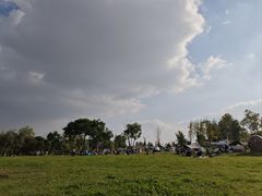 -白鹭湾湿地公园