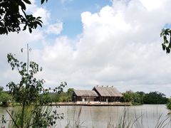 -大湾区中央湿地公园