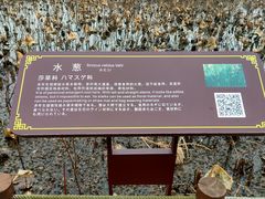 -苏州东太湖生态园