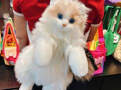 -番茄口袋(上海普陀区环球港店)