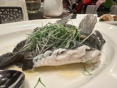 -香乐园·淮扬菜中餐厅·Shang Garden(福田香格里拉店)