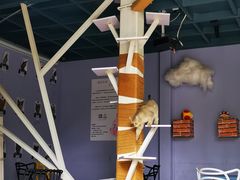 -喵屿·大理花园猫咖