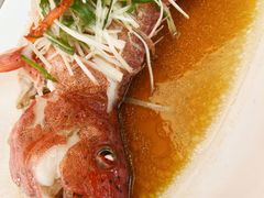 -聚龙酒家(富豪花园店)