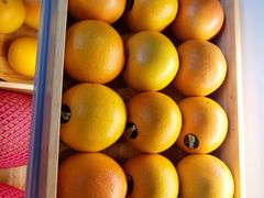 -野萃山·潮汕厚果汁(十亩地店)