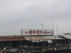 -大湾区中央湿地公园-十九涌