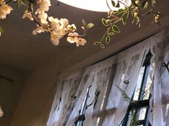 -春风·有糖(崇宁路店)