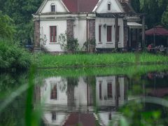 -上海共青森林公园