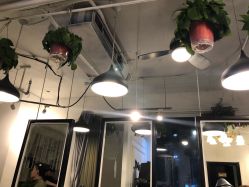 -Tipo Hair salon（明星）店