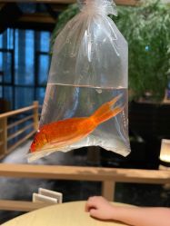 -造物庄园 萌宠纪(苏州湾歌林公园店)