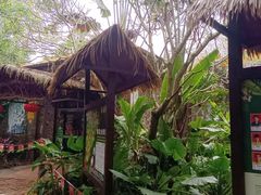 -海南热带野生动植物园