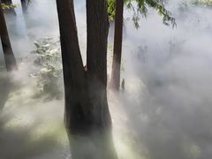 -东湖落雁景区