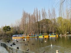-扬州市茱萸湾风景区
