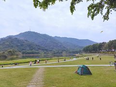 -风云岭森林公园