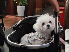 -蝶园·装修中(BFC外滩金融中心店)