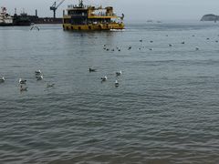 -海驴岛(荣成市)